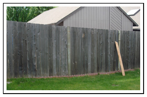 fence cleaning before